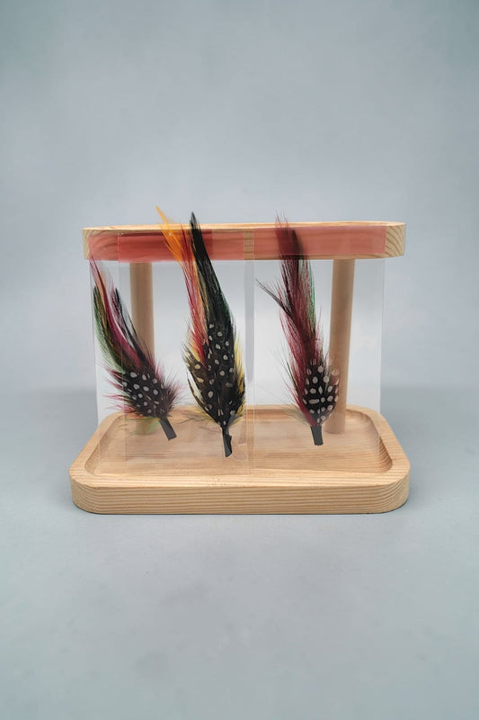 Western Hat Feather Accessory Set – 3 Piece Texana Sombrero Accent